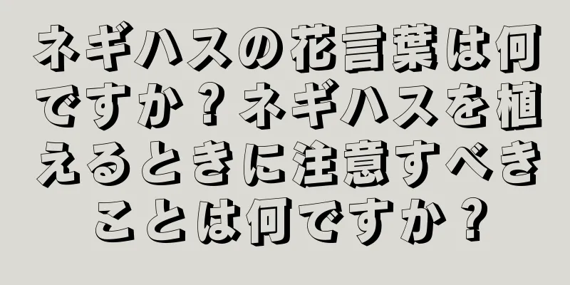 ネギハスの花言葉は何ですか？ネギハスを植えるときに注意すべきことは何ですか？