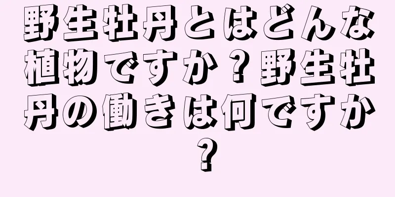 野生牡丹とはどんな植物ですか？野生牡丹の働きは何ですか？