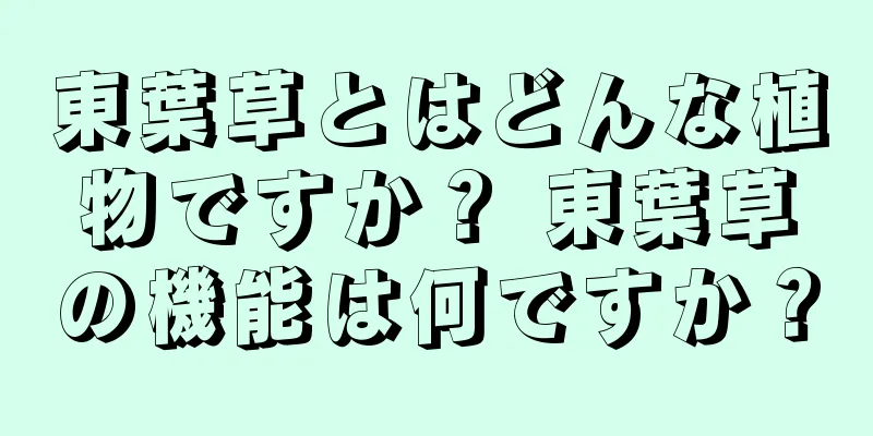 東葉草とはどんな植物ですか？ 東葉草の機能は何ですか？