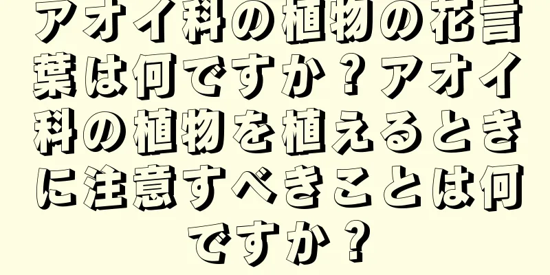 アオイ科の植物の花言葉は何ですか？アオイ科の植物を植えるときに注意すべきことは何ですか？