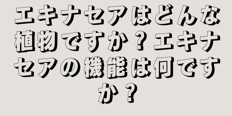エキナセアはどんな植物ですか？エキナセアの機能は何ですか？