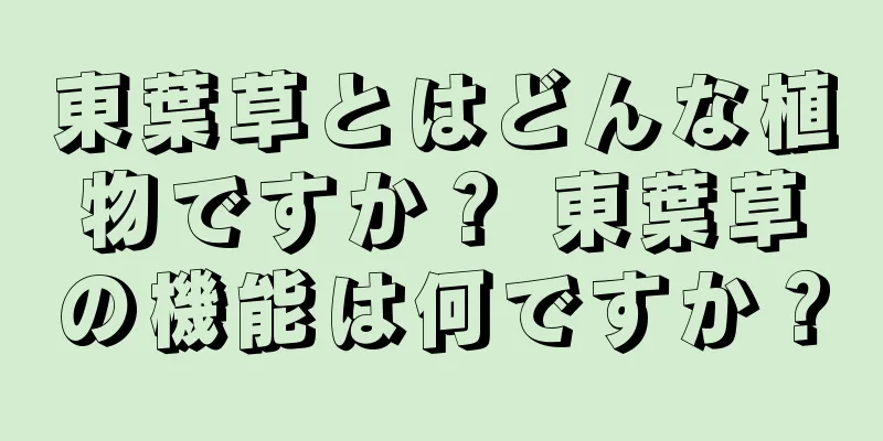 東葉草とはどんな植物ですか？ 東葉草の機能は何ですか？