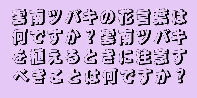 雲南ツバキの花言葉は何ですか？雲南ツバキを植えるときに注意すべきことは何ですか？