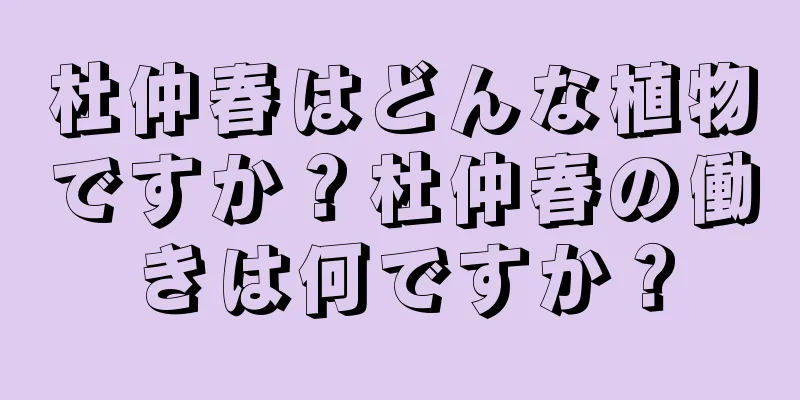 杜仲春はどんな植物ですか？杜仲春の働きは何ですか？