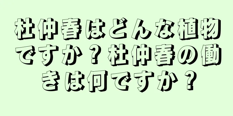 杜仲春はどんな植物ですか？杜仲春の働きは何ですか？