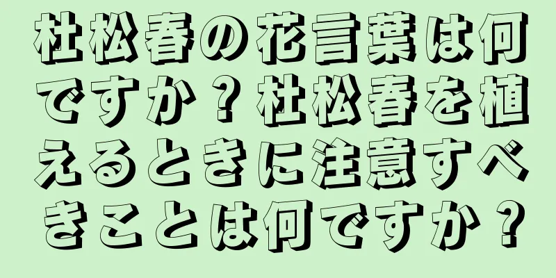 杜松春の花言葉は何ですか？杜松春を植えるときに注意すべきことは何ですか？