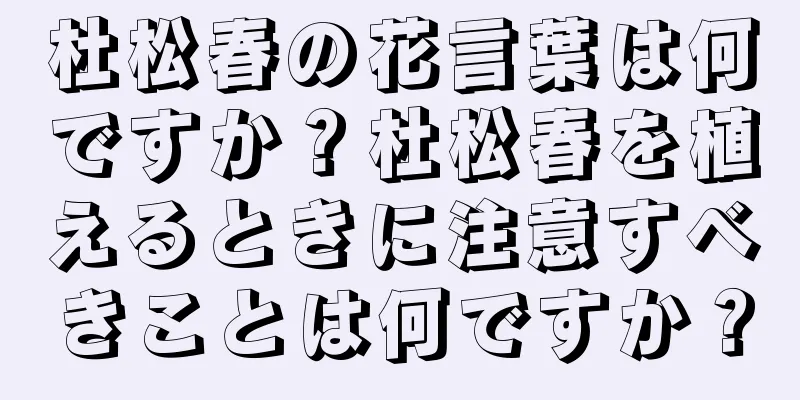 杜松春の花言葉は何ですか？杜松春を植えるときに注意すべきことは何ですか？