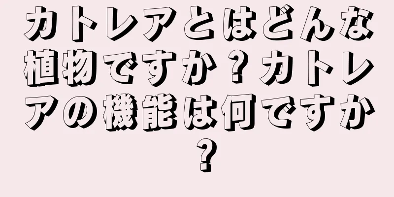 カトレアとはどんな植物ですか？カトレアの機能は何ですか？