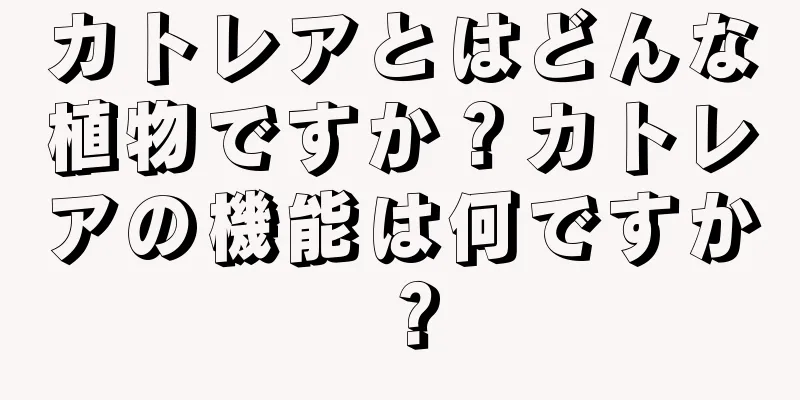 カトレアとはどんな植物ですか？カトレアの機能は何ですか？