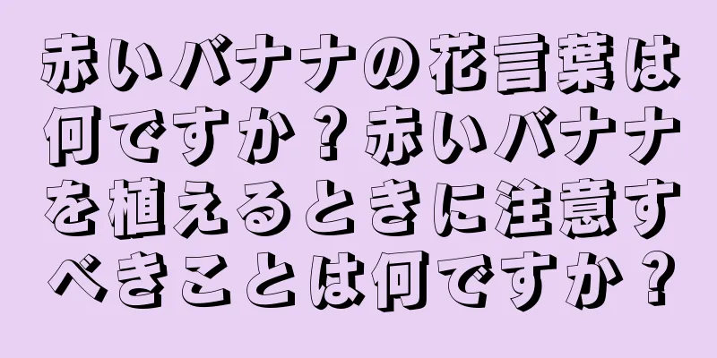 赤いバナナの花言葉は何ですか？赤いバナナを植えるときに注意すべきことは何ですか？