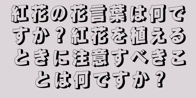 紅花の花言葉は何ですか？紅花を植えるときに注意すべきことは何ですか？