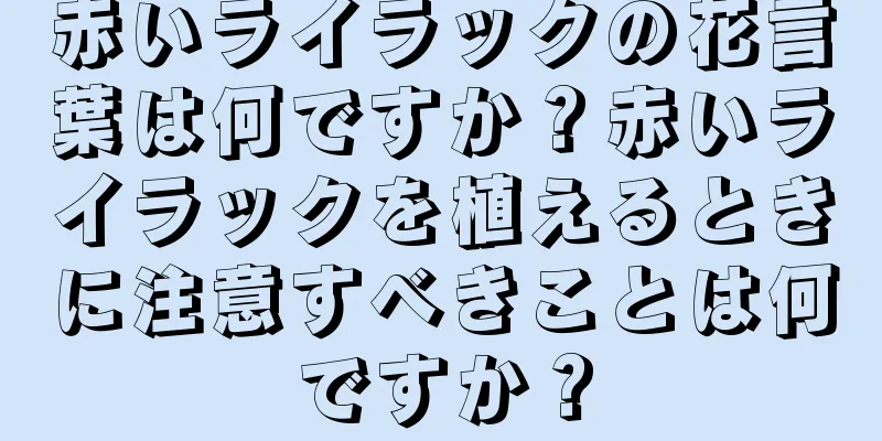 赤いライラックの花言葉は何ですか？赤いライラックを植えるときに注意すべきことは何ですか？