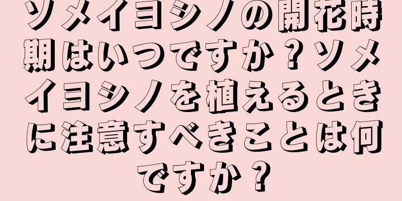ソメイヨシノの開花時期はいつですか？ソメイヨシノを植えるときに注意すべきことは何ですか？