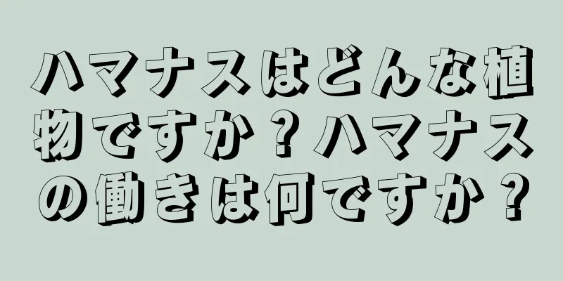 ハマナスはどんな植物ですか？ハマナスの働きは何ですか？