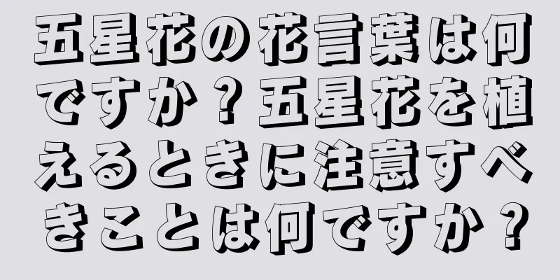 五星花の花言葉は何ですか？五星花を植えるときに注意すべきことは何ですか？