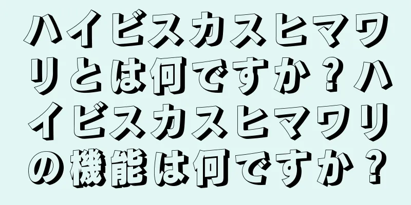 ハイビスカスヒマワリとは何ですか？ハイビスカスヒマワリの機能は何ですか？