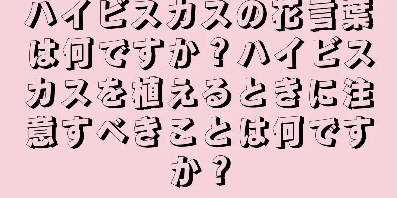 ハイビスカスの花言葉は何ですか？ハイビスカスを植えるときに注意すべきことは何ですか？