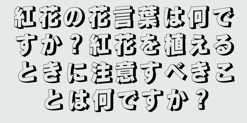 紅花の花言葉は何ですか？紅花を植えるときに注意すべきことは何ですか？