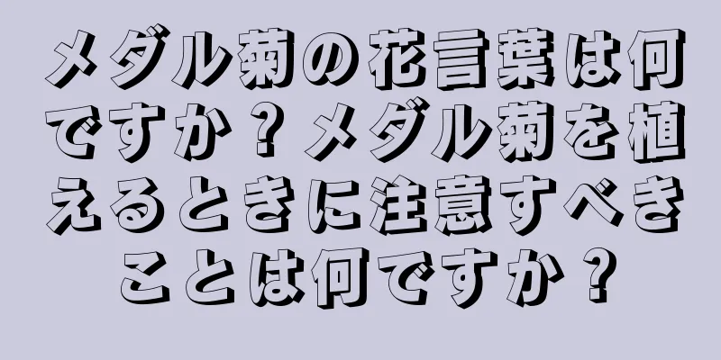 メダル菊の花言葉は何ですか？メダル菊を植えるときに注意すべきことは何ですか？