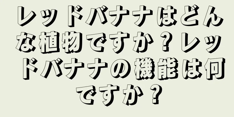 レッドバナナはどんな植物ですか？レッドバナナの機能は何ですか？