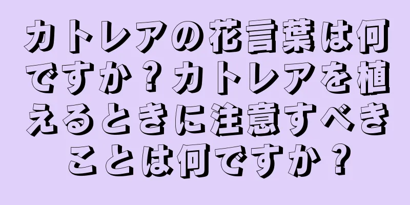 カトレアの花言葉は何ですか？カトレアを植えるときに注意すべきことは何ですか？