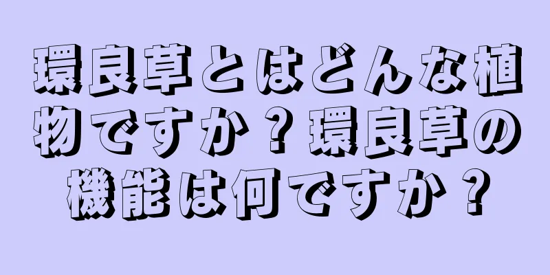 環良草とはどんな植物ですか？環良草の機能は何ですか？