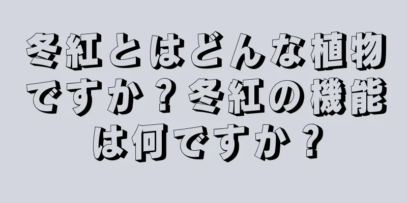 冬紅とはどんな植物ですか？冬紅の機能は何ですか？