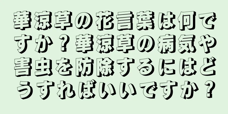 華涼草の花言葉は何ですか？華涼草の病気や害虫を防除するにはどうすればいいですか？