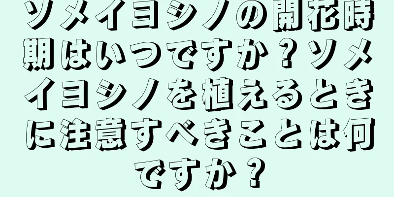 ソメイヨシノの開花時期はいつですか？ソメイヨシノを植えるときに注意すべきことは何ですか？