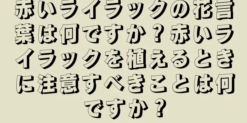 赤いライラックの花言葉は何ですか？赤いライラックを植えるときに注意すべきことは何ですか？