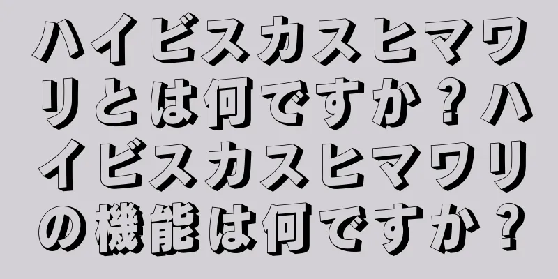 ハイビスカスヒマワリとは何ですか？ハイビスカスヒマワリの機能は何ですか？