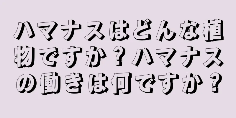 ハマナスはどんな植物ですか？ハマナスの働きは何ですか？