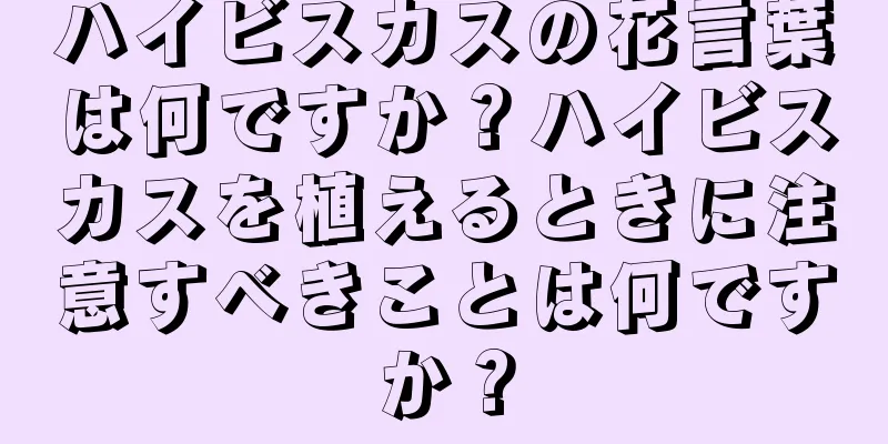 ハイビスカスの花言葉は何ですか？ハイビスカスを植えるときに注意すべきことは何ですか？