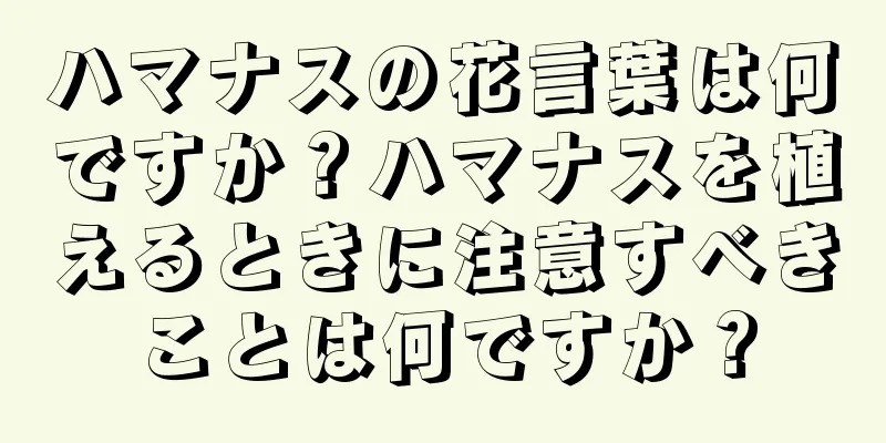 ハマナスの花言葉は何ですか？ハマナスを植えるときに注意すべきことは何ですか？