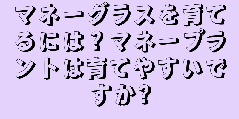 マネーグラスを育てるには？マネープラントは育てやすいですか?