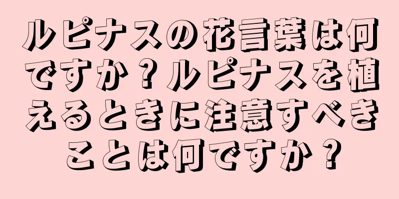 ルピナスの花言葉は何ですか？ルピナスを植えるときに注意すべきことは何ですか？