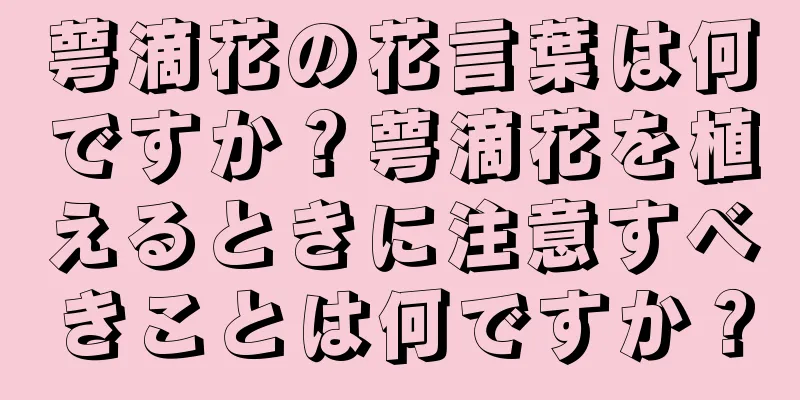 萼滴花の花言葉は何ですか？萼滴花を植えるときに注意すべきことは何ですか？