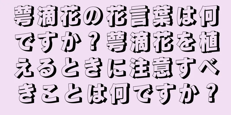 萼滴花の花言葉は何ですか？萼滴花を植えるときに注意すべきことは何ですか？
