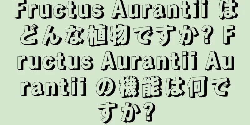 Fructus Aurantii はどんな植物ですか? Fructus Aurantii Aurantii の機能は何ですか?