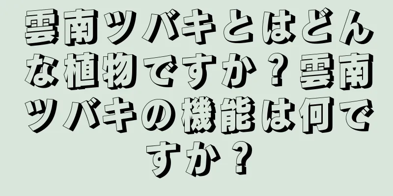 雲南ツバキとはどんな植物ですか？雲南ツバキの機能は何ですか？