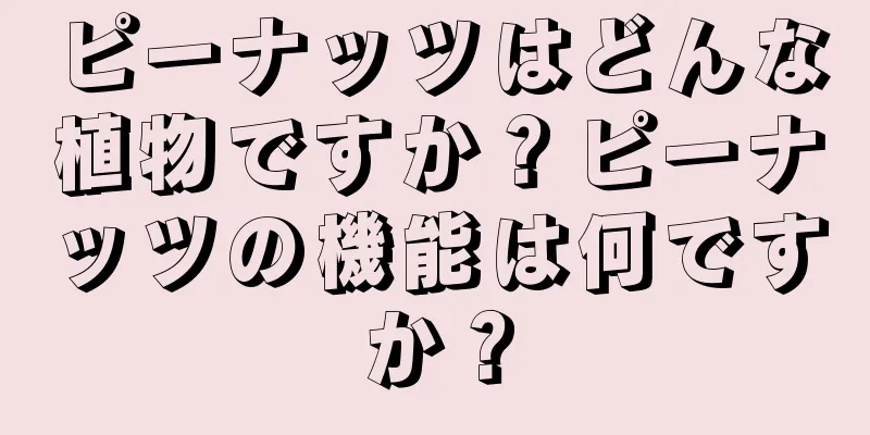 ピーナッツはどんな植物ですか？ピーナッツの機能は何ですか？