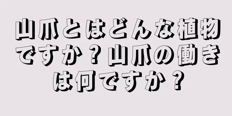 山爪とはどんな植物ですか？山爪の働きは何ですか？
