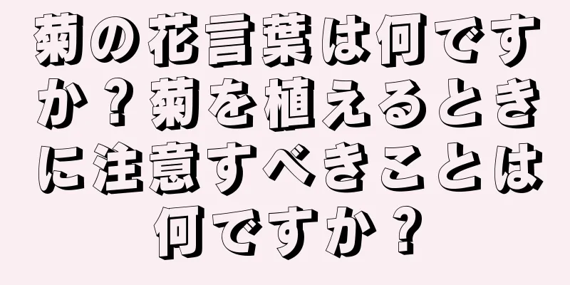 菊の花言葉は何ですか？菊を植えるときに注意すべきことは何ですか？