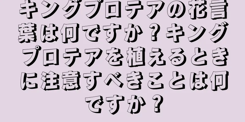 キングプロテアの花言葉は何ですか？キングプロテアを植えるときに注意すべきことは何ですか？