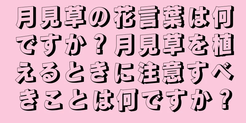 月見草の花言葉は何ですか？月見草を植えるときに注意すべきことは何ですか？