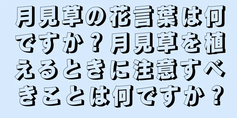 月見草の花言葉は何ですか？月見草を植えるときに注意すべきことは何ですか？