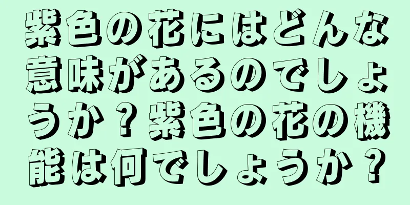 紫色の花にはどんな意味があるのでしょうか？紫色の花の機能は何でしょうか？