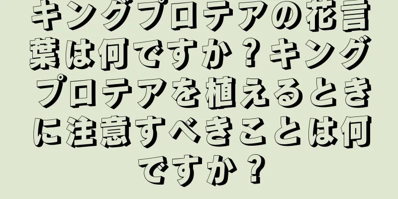 キングプロテアの花言葉は何ですか？キングプロテアを植えるときに注意すべきことは何ですか？