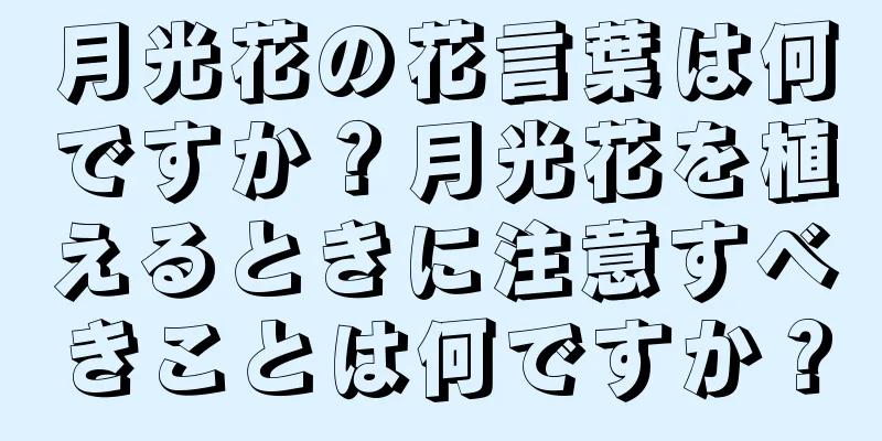 月光花の花言葉は何ですか？月光花を植えるときに注意すべきことは何ですか？