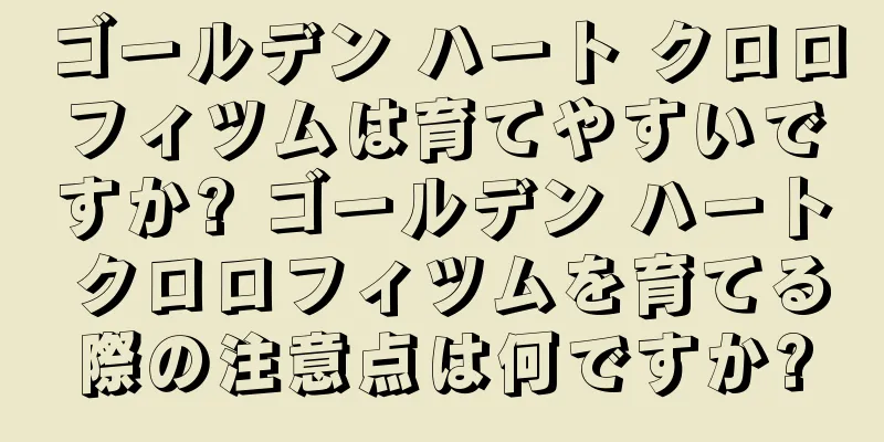 ゴールデン ハート クロロフィツムは育てやすいですか? ゴールデン ハート クロロフィツムを育てる際の注意点は何ですか?